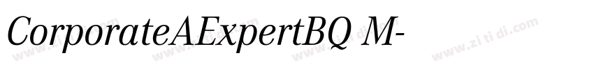 CorporateAExpertBQ M字体转换